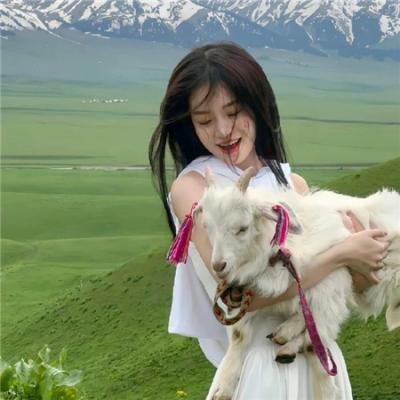 曲棍球之王
