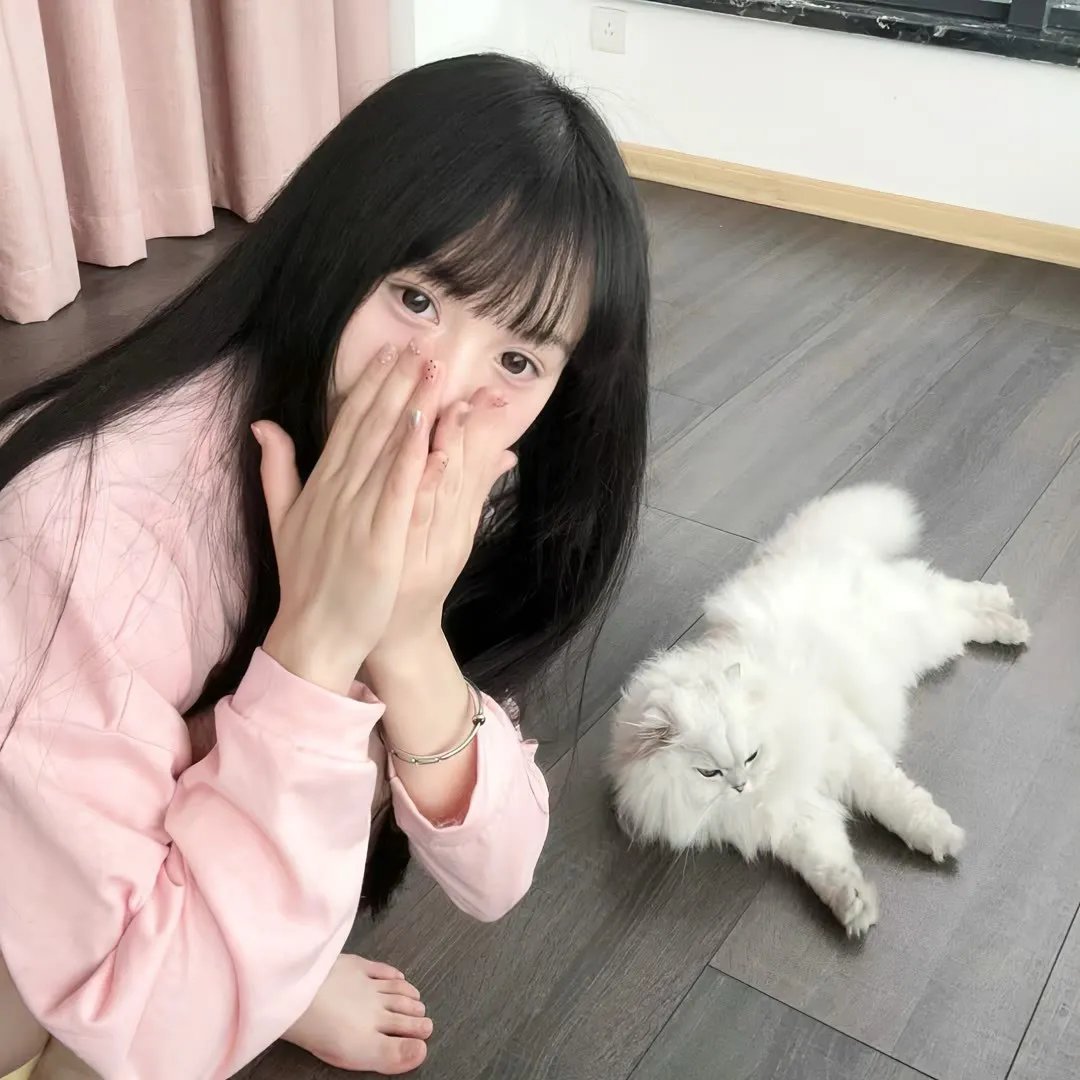 摩登情圣